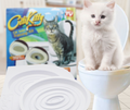 Feline Potty Training System GidgetBox