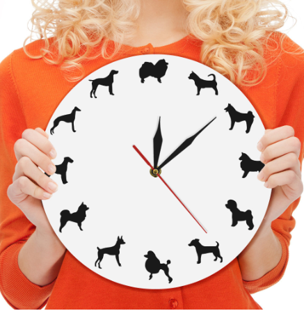 Chic Mirror Wall Clock Decor GidgetBox
