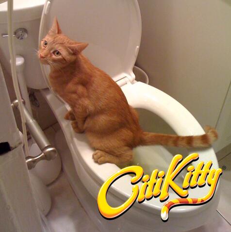 Feline Potty Training System GidgetBox