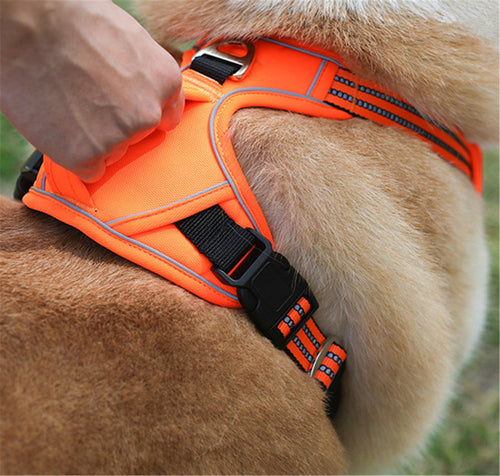 All-Weather Comfort Pet Harness with Handle GidgetBox