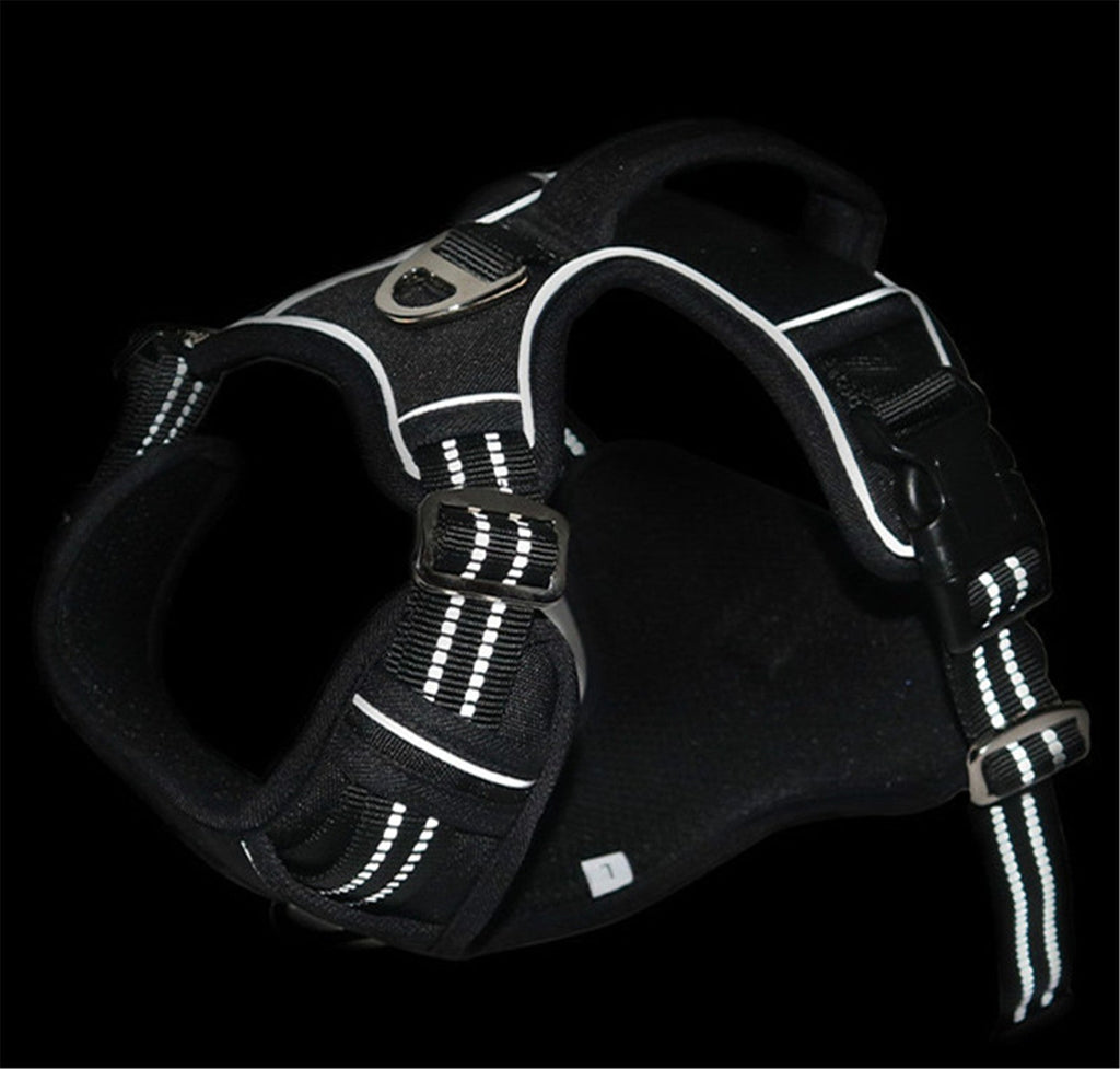 All-Weather Comfort Pet Harness with Handle GidgetBox