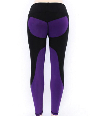 Sculpt High-Rise Performance Leggings GidgetBox