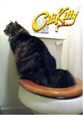Feline Potty Training System GidgetBox
