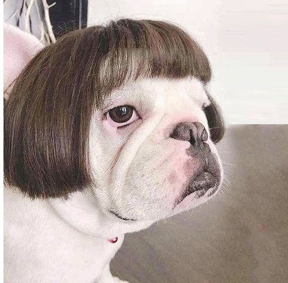 Epic Style Cosplay Wigs GidgetBox