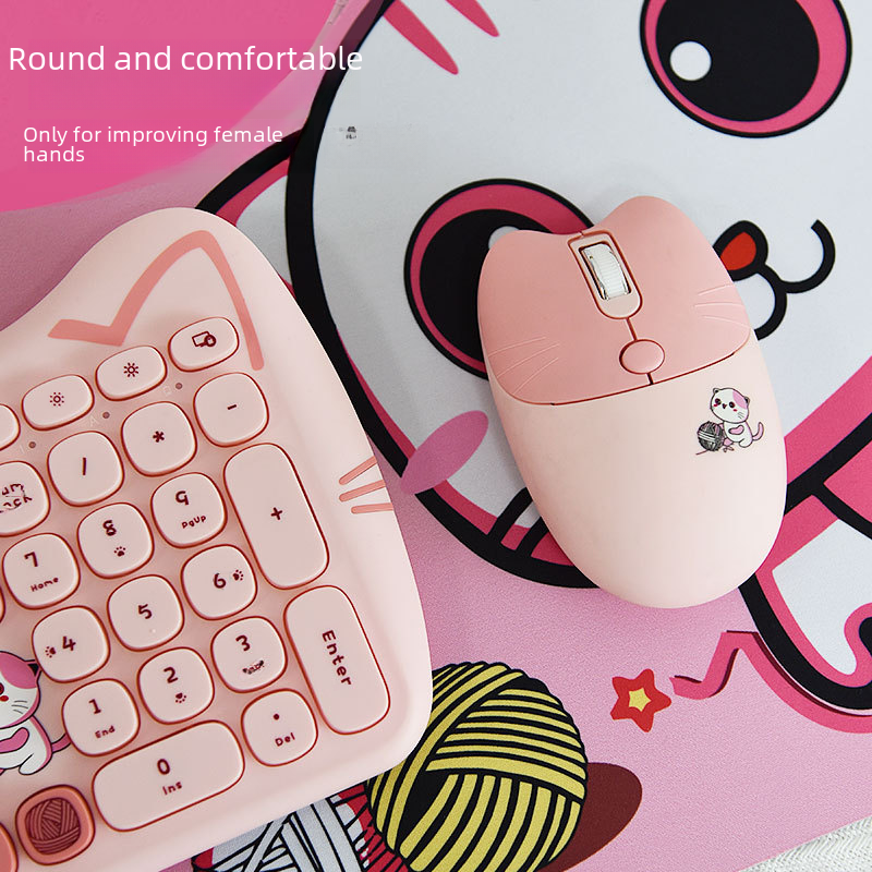 Chic Punk Wireless Keyboard & Mouse GidgetBox