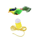 Motion Sound Cat Teaser Wand GidgetBox