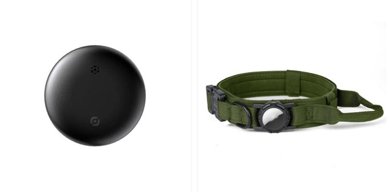 Easy Track AirTag Pet Locator GidgetBox