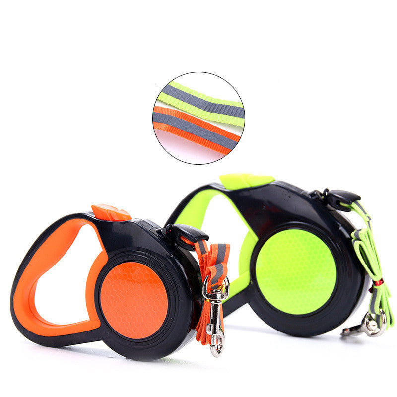 SafetyGlow Pet Leash GidgetBox